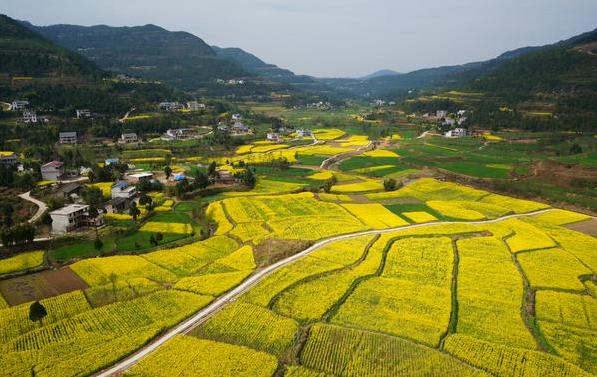 王家人的历史,关于王家人的视频