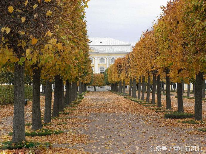 阴道竟然如此美丽