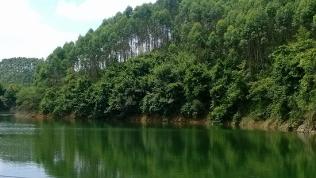 广西南宁钓鱼钓点,广西最新钓鱼技巧