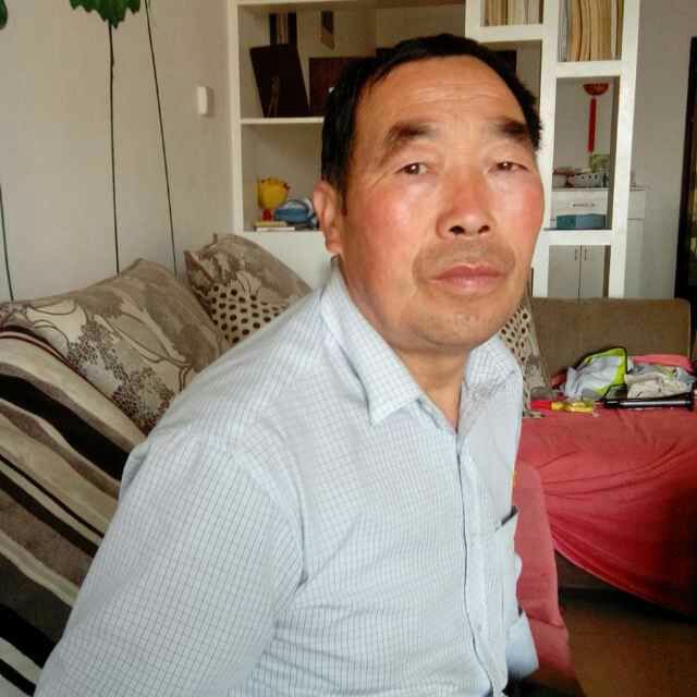 收藏的乐趣在哪里,收藏的乐趣优秀作文