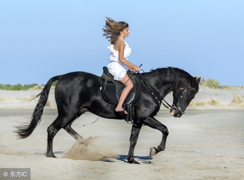 5月份生肖马运势详解,生肖马五月份的运势如何