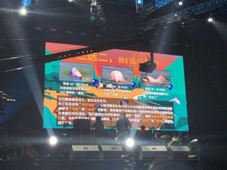 钦州常滩迷笛音乐节,钦州迷笛音乐节阵容