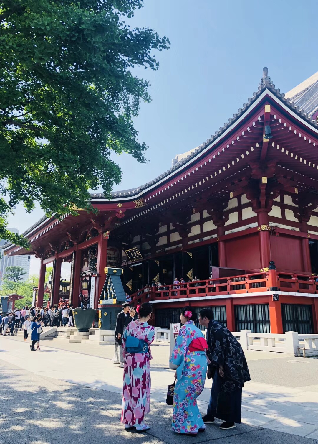 世界那么大假期你都游过哪些地方,世界那么大旅游特辑