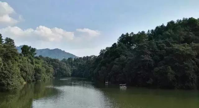 成都各个区县名称,成都市的行政区划历史