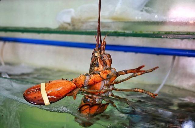 碧海蓝天椰风海韵旅行,碧海蓝天三亚亲子游攻略