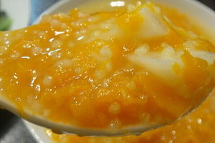 日常生活中最具有营养价值的食品,生活中有哪些养胃食物