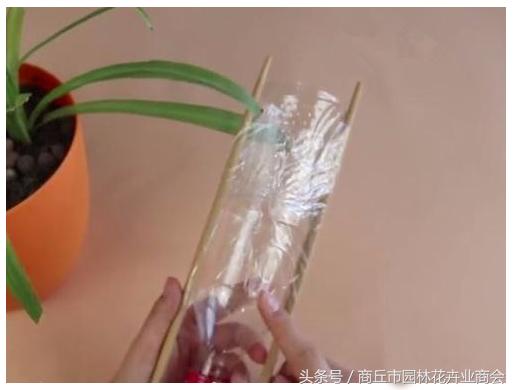 塑料瓶怎么做成浇花的瓶子,废弃瓶子制作浇花神器妙招