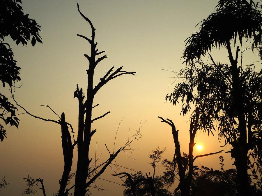 刘禹锡最著名十句古诗大全,刘禹锡最经典的诗句