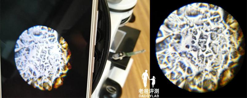 十大公认好用的防晒霜博主测评,老爸评测好用又经济实惠的防晒霜