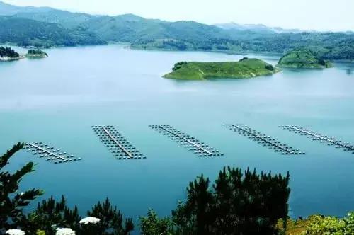 湖北哪个地方水资源最好,湖北的水资源在全国排名第几