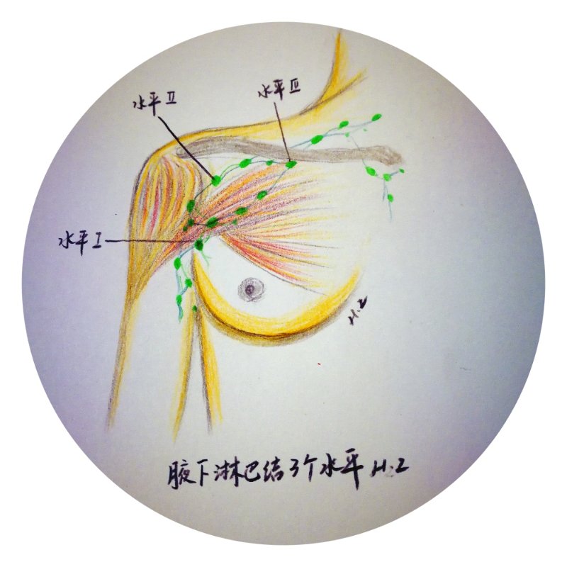 母爱无边致敬伟大的母亲,母爱无边