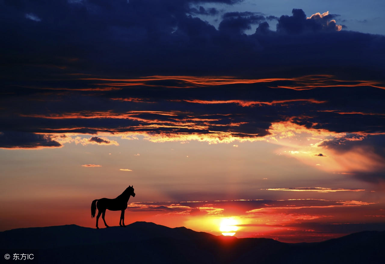 长大了请告别童真,放下梦想准备战斗