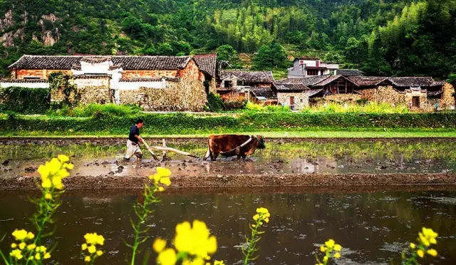 丽水是一个令人流连忘返的地方,浙江丽水一个被隐藏的仙境