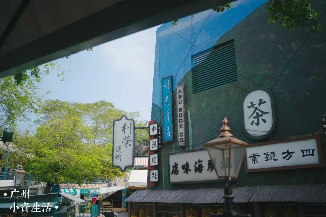 巴南海洋公园一日游攻略 (香港海洋公园游玩攻略)