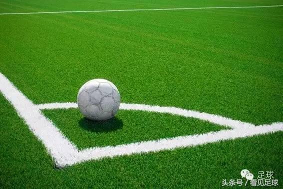 草皮对环境危害,草皮坏处