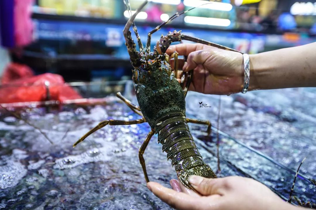 五一一家人吃烧烤,五一一家3人三亚花费