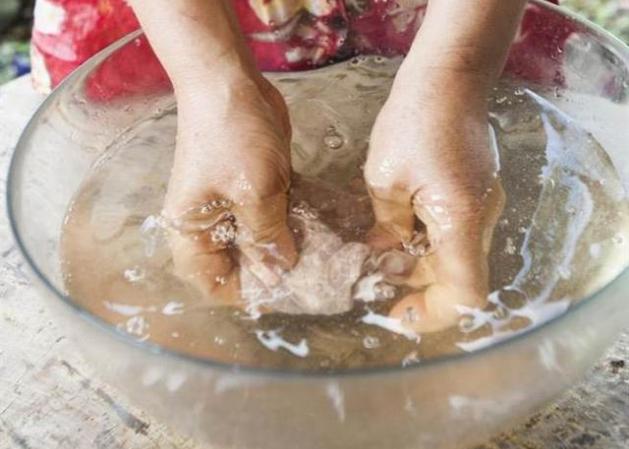 台湾野生爱玉,宝岛台湾特有水果品种有哪些