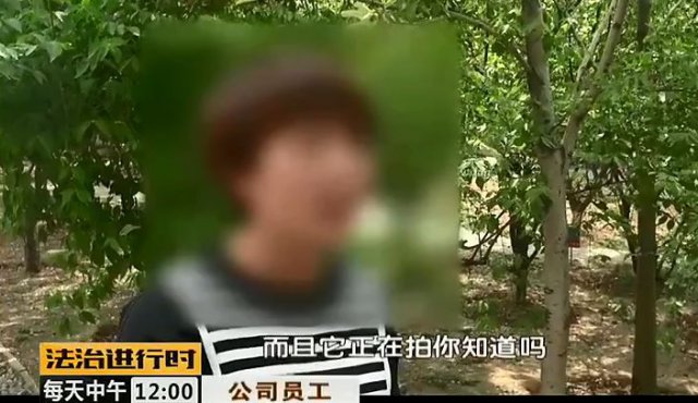 公司女厕所突然装了两盏LED灯还多了个神秘木盒