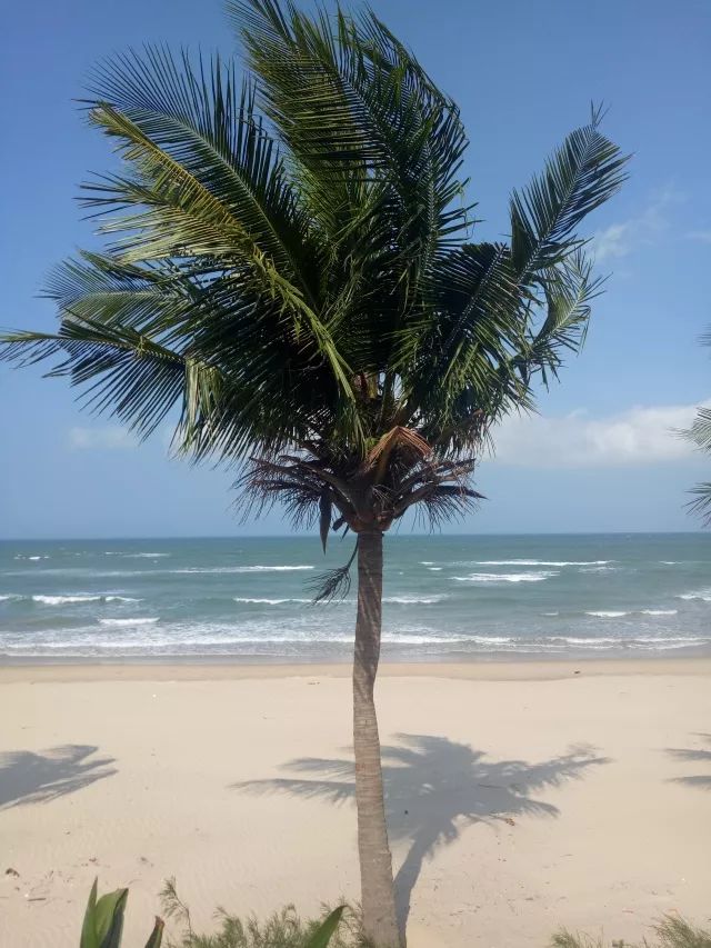 越南旅行之岘港攻略,越南岘港巴拿山风景