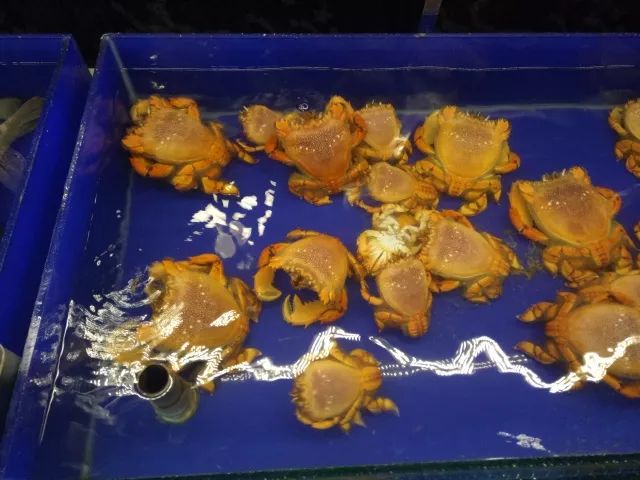 越南旅行之岘港攻略,越南岘港巴拿山风景