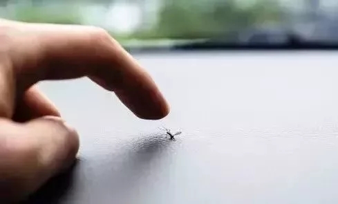 蚊子为什么咬o型血的人呢,蚊子咬人和o型血什么关系