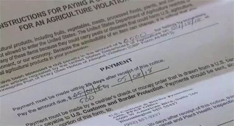 带个苹果下飞机,竟被罚500美元!这样的坑,很多人还不知道