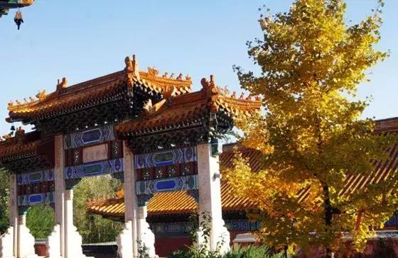 还出什么国？去了易县，等于去了全世界，不信你看！