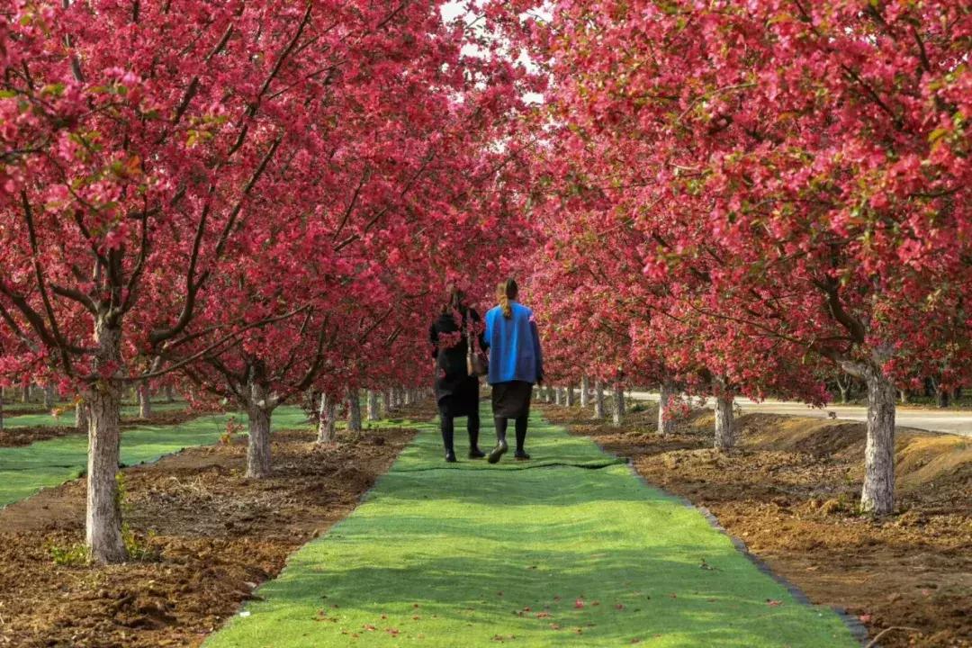 还出什么国？去了易县，等于去了全世界，不信你看！