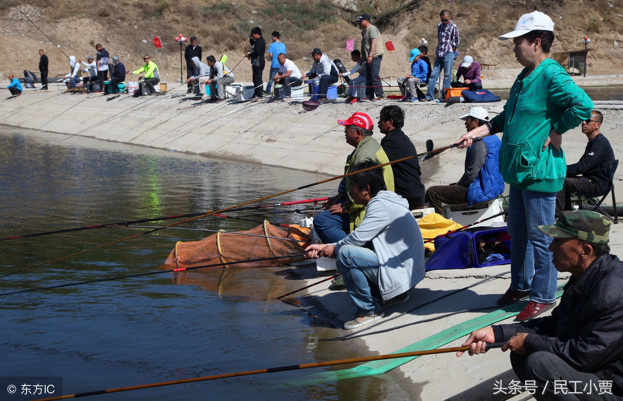 农村垂钓鱼塘前景如何,20亩鱼塘做垂钓园能挣钱吗