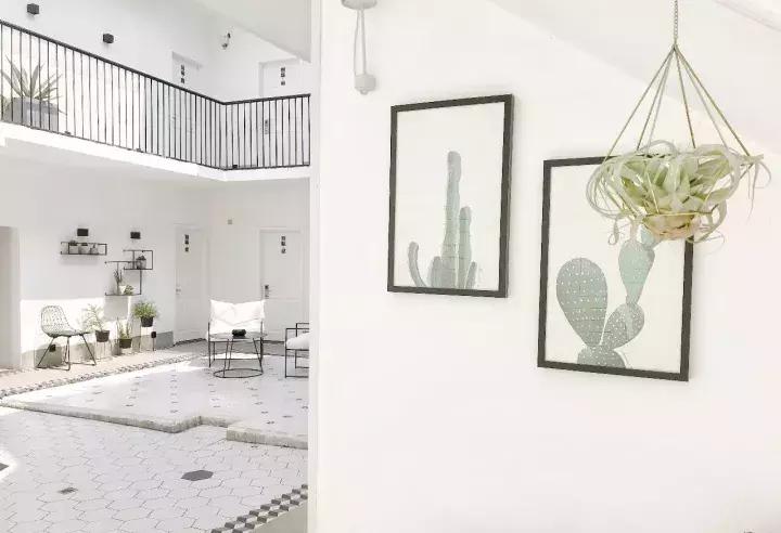 东山帐篷生态酒店左耳厦门民宿猫街第一爆改夫妻档他们改过的房子