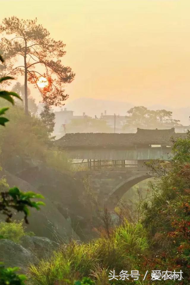 乡村道路通往城市,乡村通往村里的路
