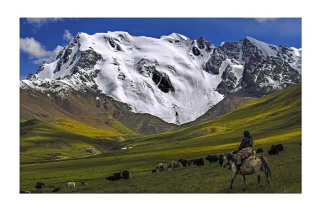 您有一份来自情醉姆蓝雪山·寻觅虫草之旅的邀请函