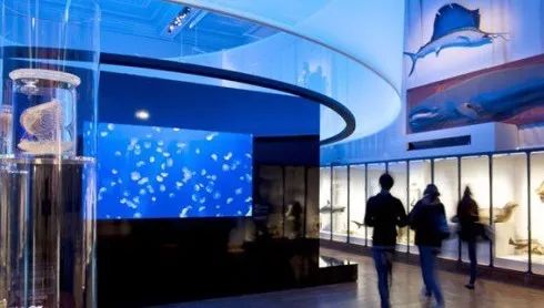 珠海海洋公园项目,2022年珠海国家战略填海工程