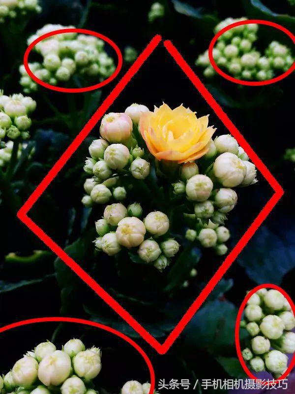 为什么我手机拍照老是改善画质,手机拍照放大就模糊