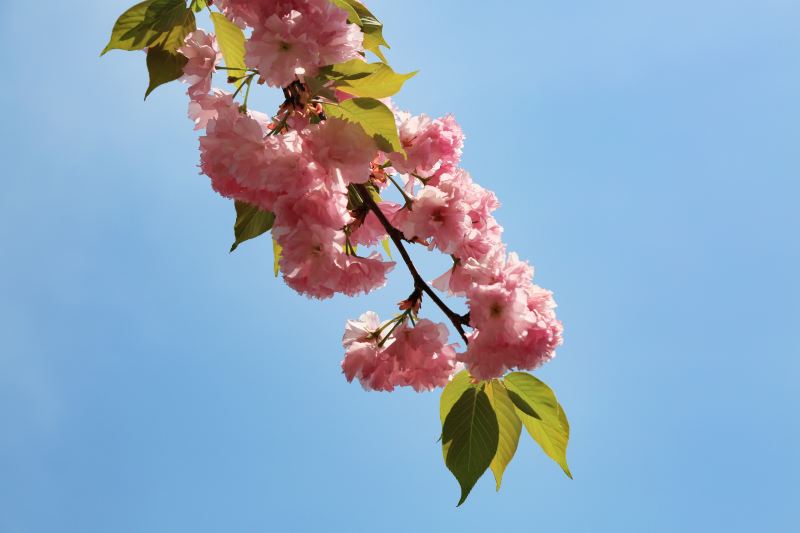 南通旅游攻略必去景点排名,南通紫琅湖公园五一有没有灯光秀