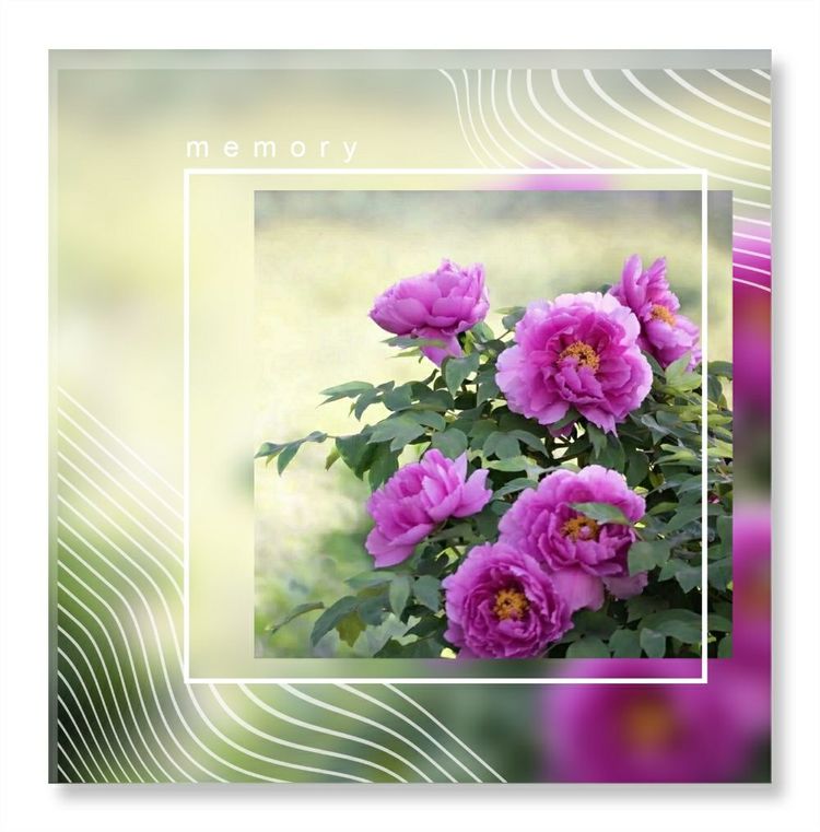 《洞天春》色几多情——（18—7·同韵）