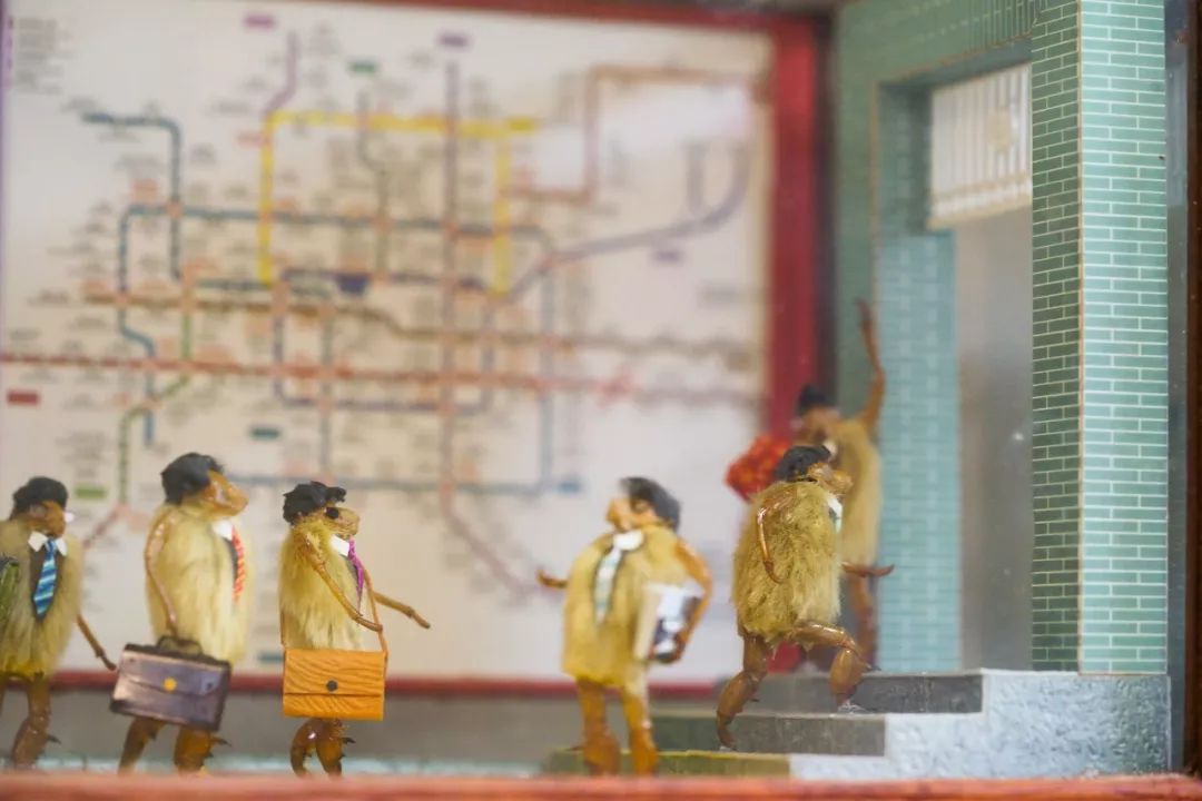 他拜师曹雪芹后人，将虫壳、玉兰变成立体漫画！