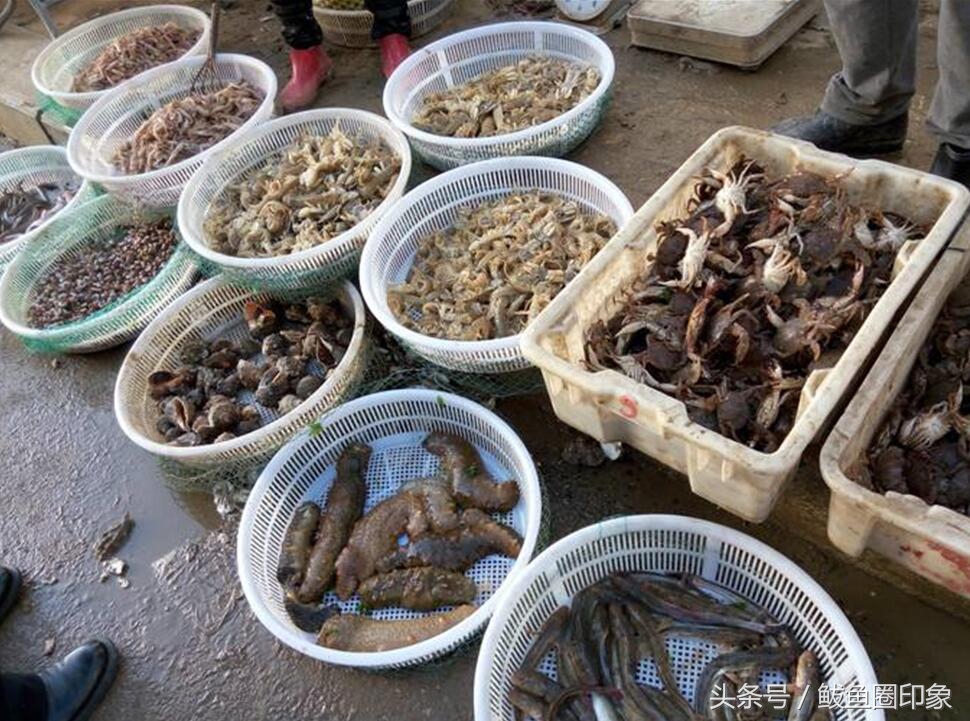 鲅鱼圈必买的10种特产,鲅鱼圈的特产介绍