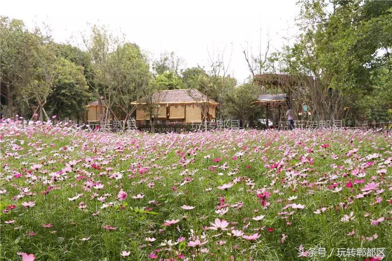 又一家高颜值花园音乐烤吧入驻郫都，趁五一快去痛快的搓一顿吧！