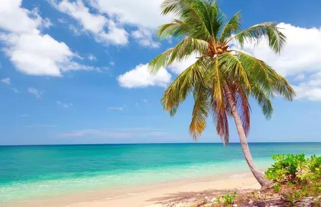 有什么是你去了泰国才知道的,你对泰国的印象是什么