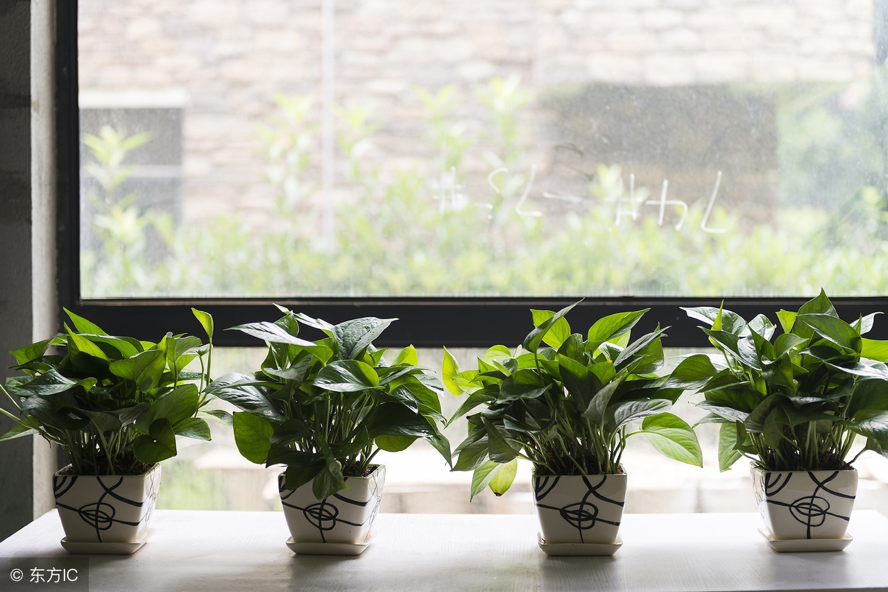 房子装修好去甲醛多久能住,房子装修完半年能住吗有甲醛吗