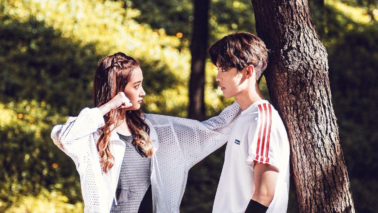 鹿晗谈恋爱涨了多少粉,鹿晗公布恋情时脱粉多少