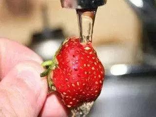 科学家发现了“新器官”?喝活蝌蚪强身健体?4月上榜流言来了