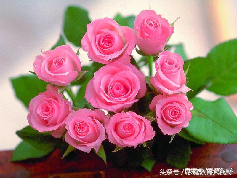 家长该警惕孩子的四种性格,家长对孩子的正确处理