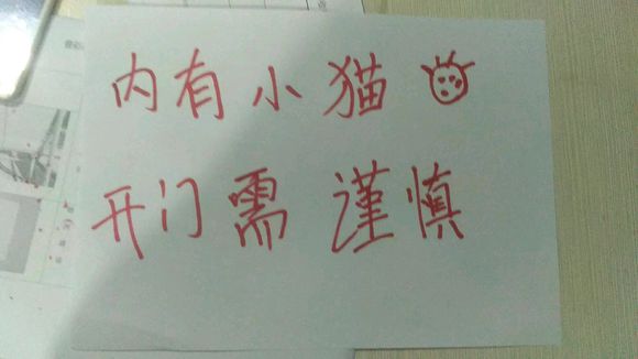 捡到一只英短蓝猫能养吗,被丢弃纯种蓝猫