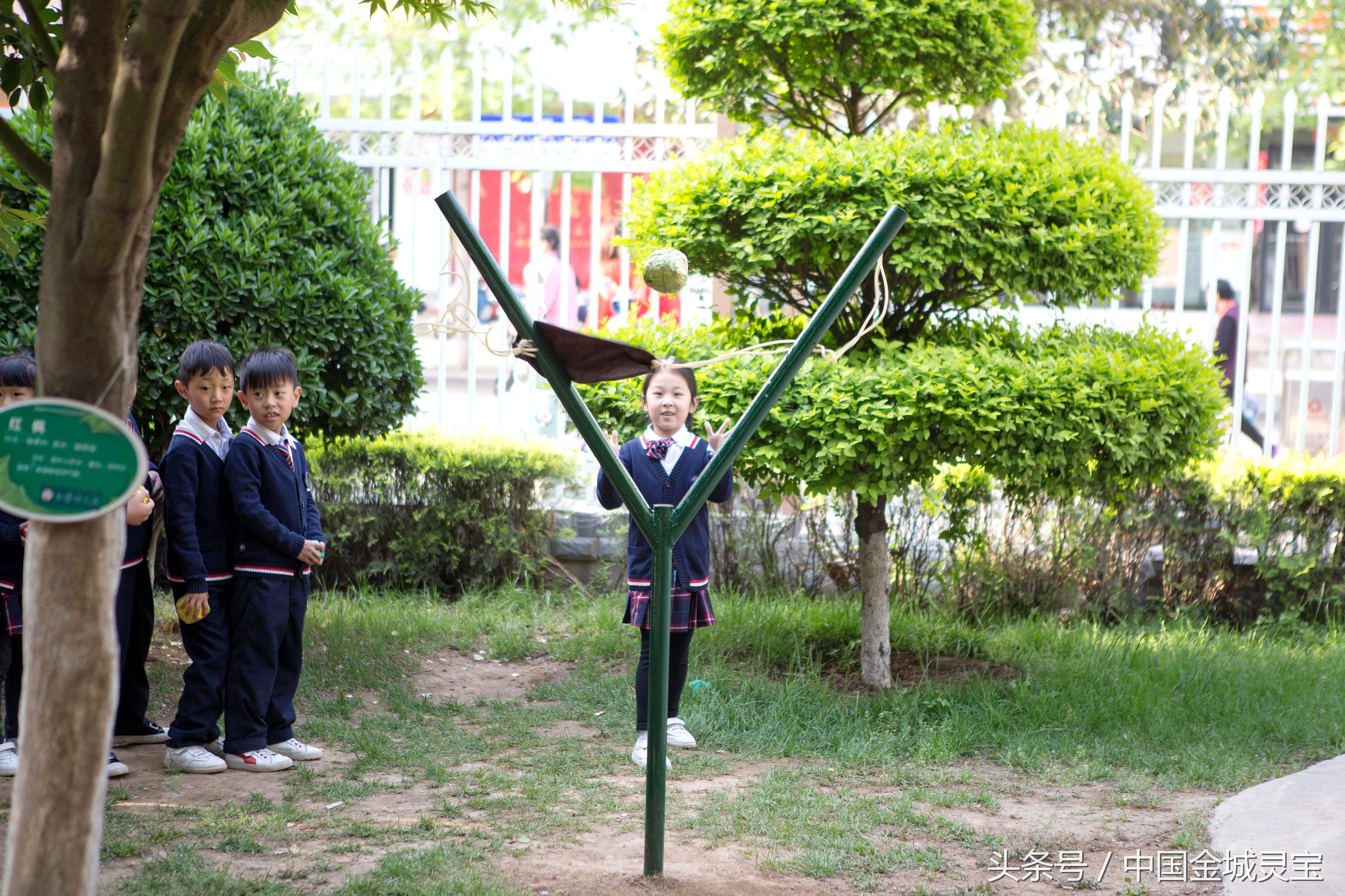 灵宝金蕾幼儿园体能训练,灵宝市金蕾幼儿园简介