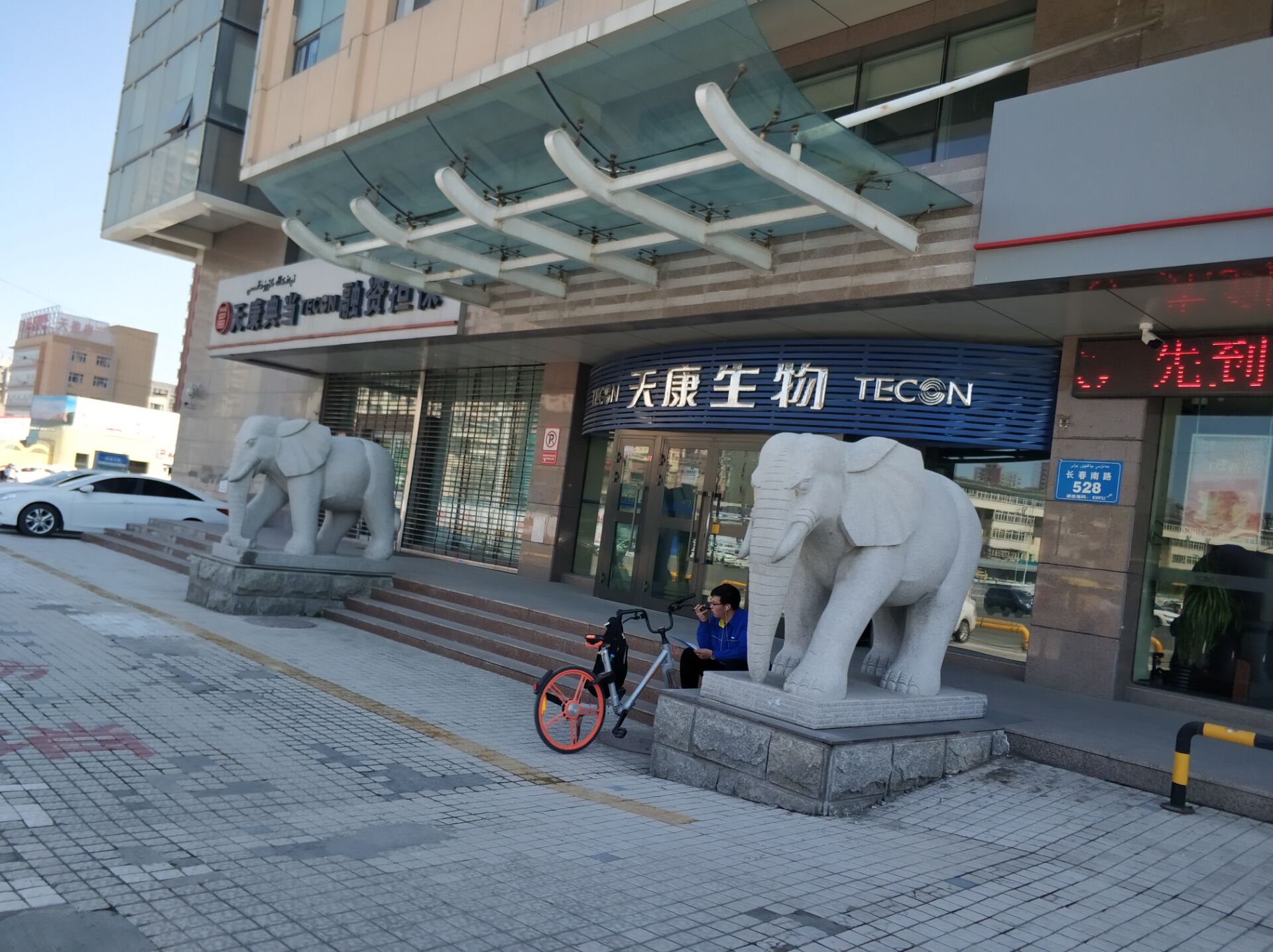 乌鲁木齐街头十大祥瑞瑞兽，哪家最V5？