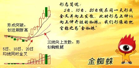 老股民坚守的铁律,短线老股民铁律