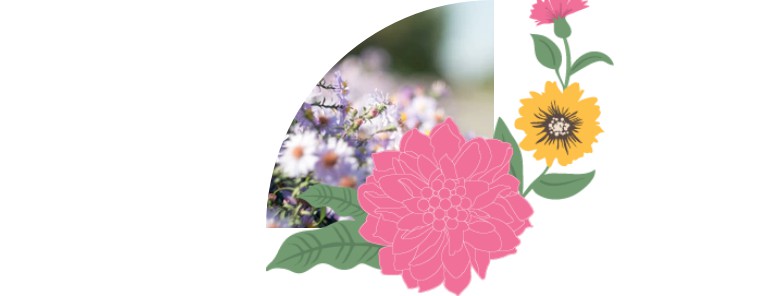 我是真的爱原版,我是真的爱体育