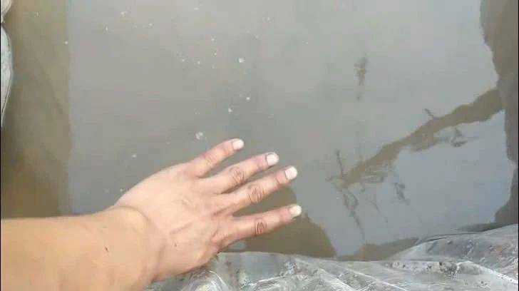 种植碗莲的方法与技巧,碗莲的种植方法和注意事项图片